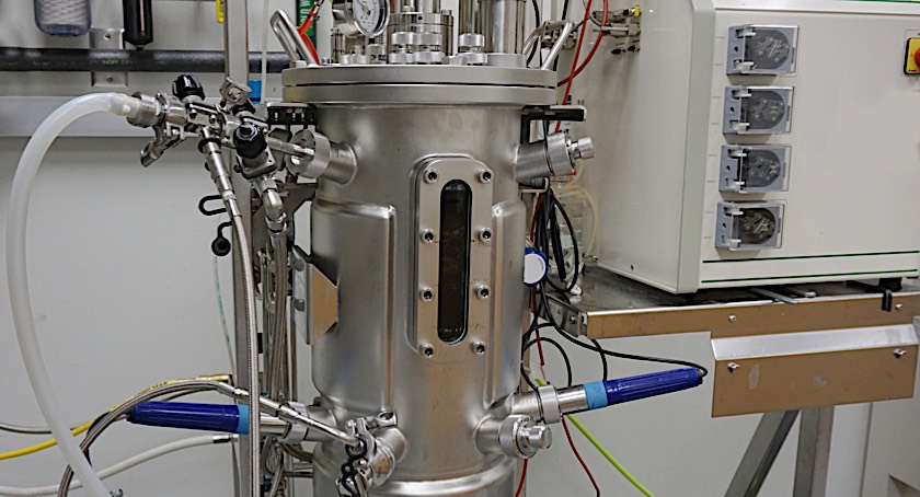 The CDMO Capacity Crunch Persists